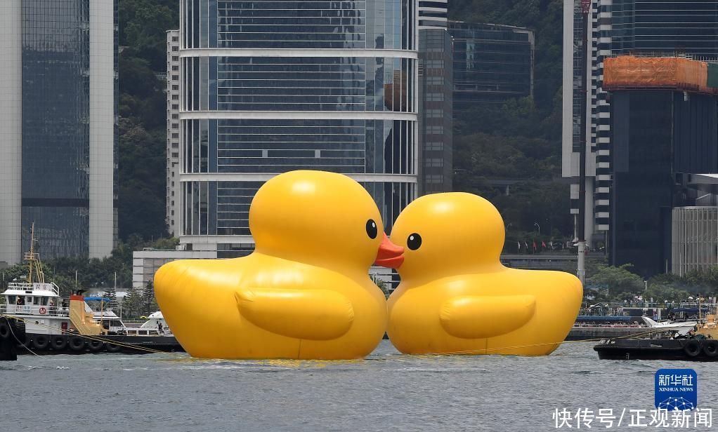 阔别十年 “大黄鸭”再度到港