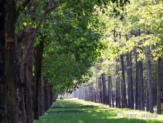 感觉|北海新发现:这个网红公园太漂亮了,感觉到了欧洲