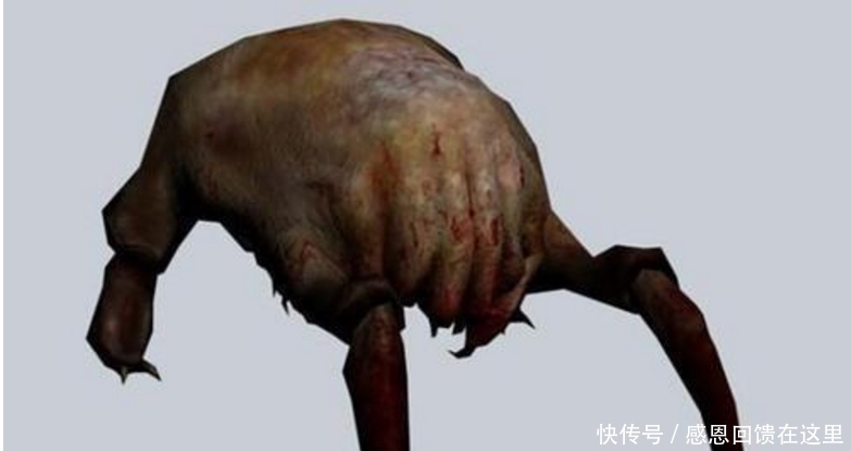  虫子|男子被吃脑虫入侵20天后病逝, 提醒: 这几种常见寄生虫得小心