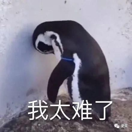  背靠|贵圈首个do成锥子脸的男星，背靠资本压番顶流小生，真宝藏