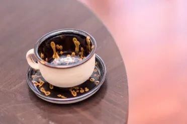  文旅|区县文旅精品荟｜遇见重庆 南岸起风景