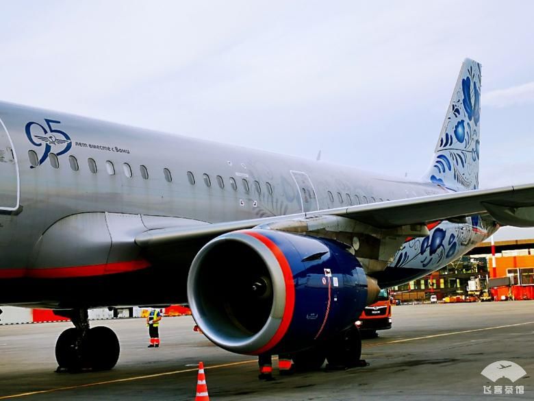 好看|拔草俄航95周年彩绘机！外观和机舱超好看，难怪有近9成上座率