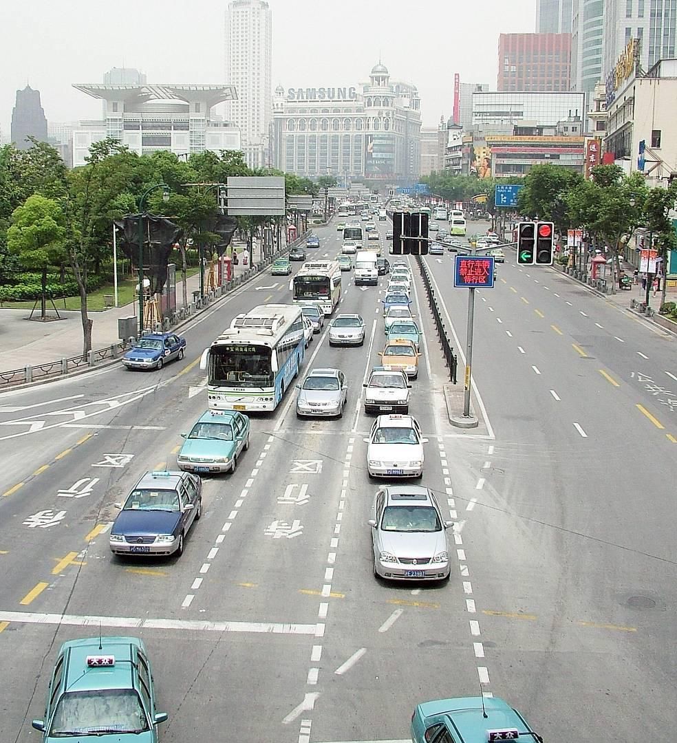 鉴定|车主：我投保不计免赔率险了，为什么由我承担鉴定意见中自费药？