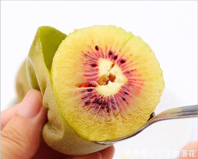  猕猴桃|三伏天遇到这水果要多吃，比苹果便宜，比西瓜香，营养丰富还好吃
