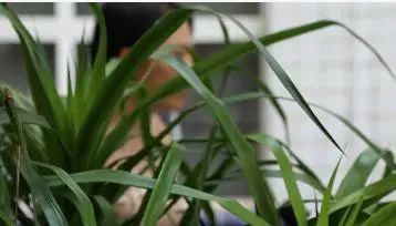 求助|小心！遇到这类人在街头向你求助，要掂量下！有人已被骗