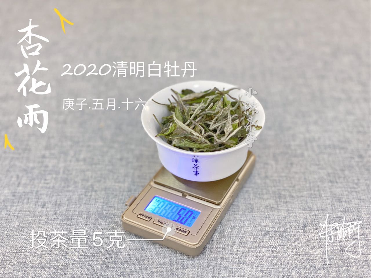 比白|喝茶“保胃战”，白茶三年后才不寒凉，老寿眉比白毫银针更护胃？