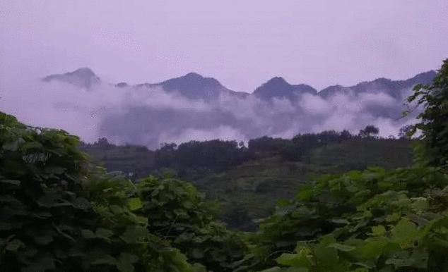 干部|【区县解读】涪陵扶贫干部杨廷兵用“绣花”功夫解决脱贫问题