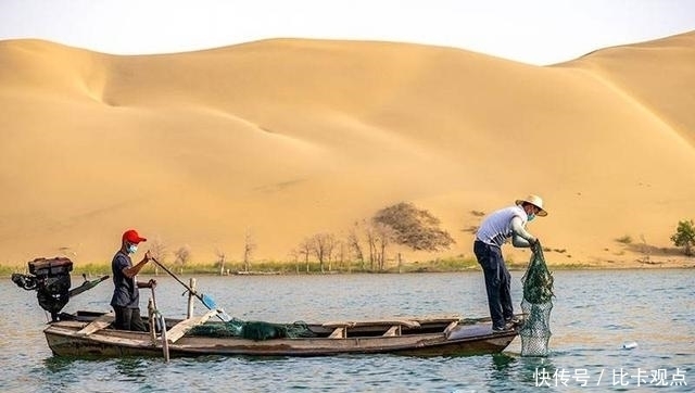 沙漠|中国人到底有多可怕?沙漠里养螃蟹,一年收入超过100万