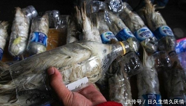矿泉水瓶|发现一个古怪的包裹,看到矿泉水瓶子里的眼睛,结果让人气愤