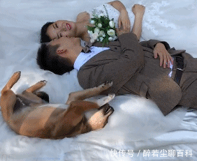  进水|妹子，你俩这样比美是认真的吗？掉进水里可就尴尬了