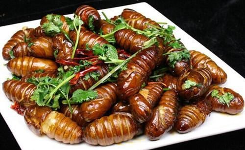  营养|吃蚕蛹有哪些营养,蚕蛹还可以这样吃,以前不知道，一起了解