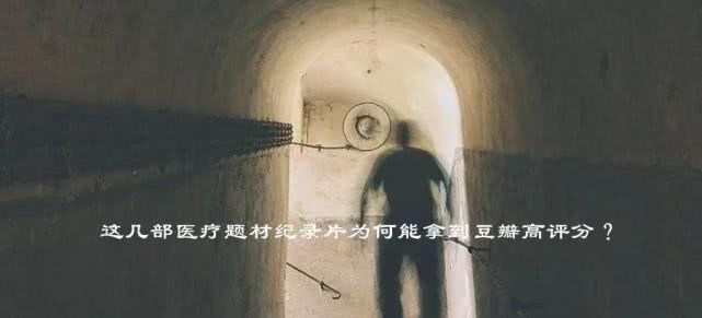  综艺|爆款与口碑，综艺市场被割裂的两极