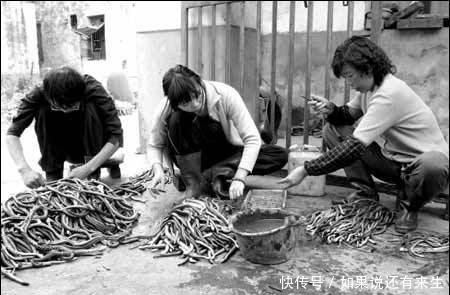 变冷|独居老人睡梦中,突然感觉被褥自己蠕动起来身下变冷,发生了什么