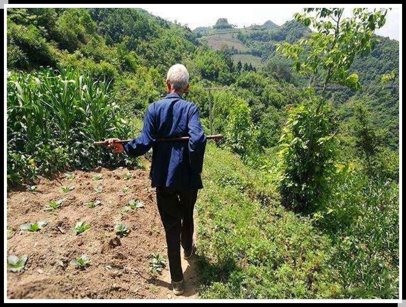 偷盗|一个天生聋哑的农村男人，一生浓缩为三件事：吃睡、干活、偷盗！