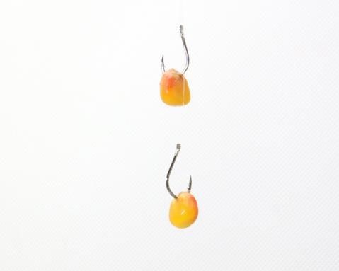 钓鱼|钓鱼的好材料酒米,一年四季通用,也可以在家里自己做