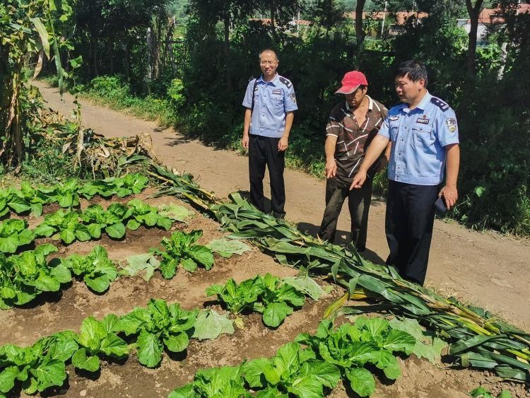 酒后|男子酒后“偷菜”萝卜白菜全遭殃 博山警方迅速出击抓获嫌疑人