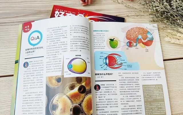  美国|美国顶尖儿童杂志授权，满足6-12岁孩子所有好奇心