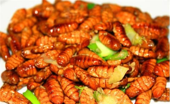  营养|吃蚕蛹有哪些营养,蚕蛹还可以这样吃,以前不知道，一起了解