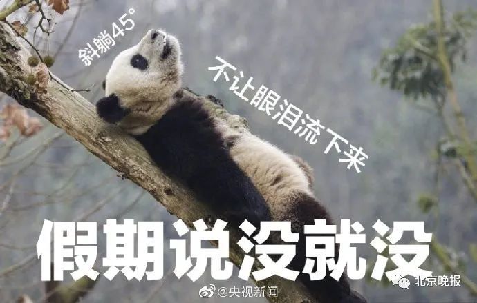  过年|咳咳，该收收心准备过年了