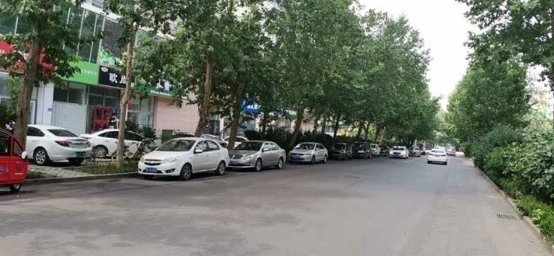 机动车道|文明创建曝光台——交通秩序