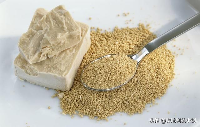  外国人|老面面包为什么更健康？外国人这么喜欢老面酸面包，原因很简单