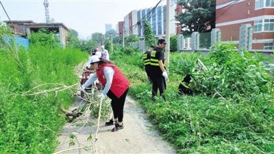 三官庙街道|迎接创卫复审 中原区这些工作落地见效