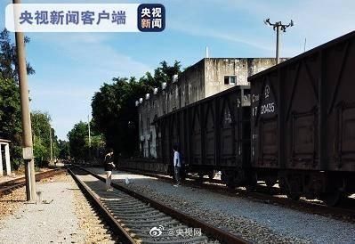  大学生|“摆拍逼火车急刹遭处罚”，“安全汽笛”该拉响