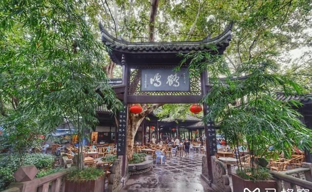  熊猫|中国顶级旅游路线有高铁了！看完熊猫再环洱海，一辆车就能解决