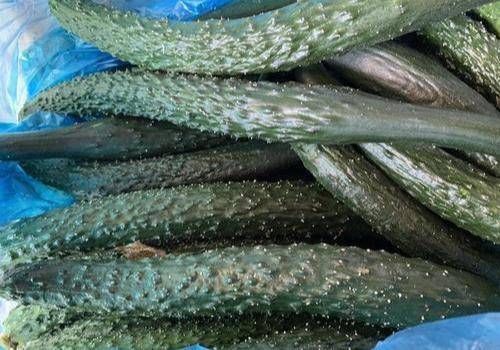  生长|“激素”黄瓜不要买，认准这4点，一眼辨就能辨出，再便宜也不要