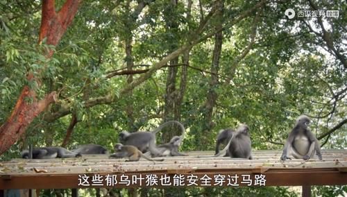  佳作|豆瓣预定超9分的佳作：原来我们错过许多惊喜，真遗憾没早点看到