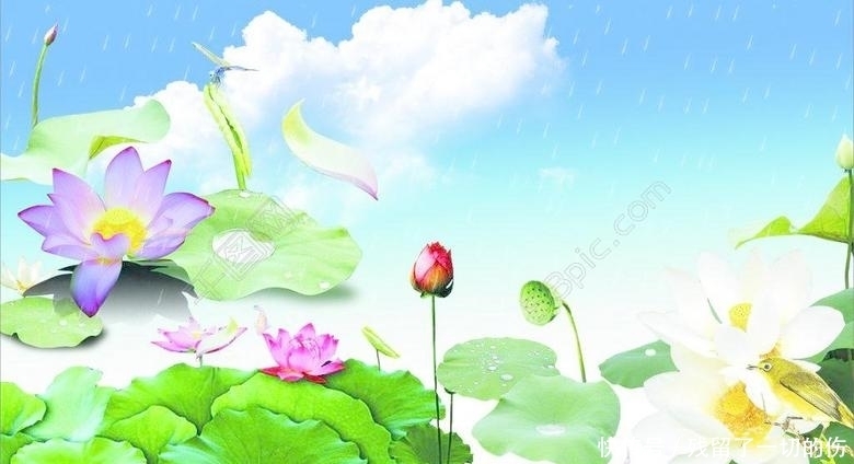 告别|九月喜鹊叫喜事来,三生肖告别坎坷,事业大突破,存款数字升值!