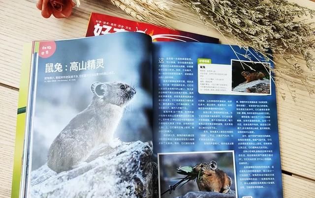  美国|美国顶尖儿童杂志授权，满足6-12岁孩子所有好奇心