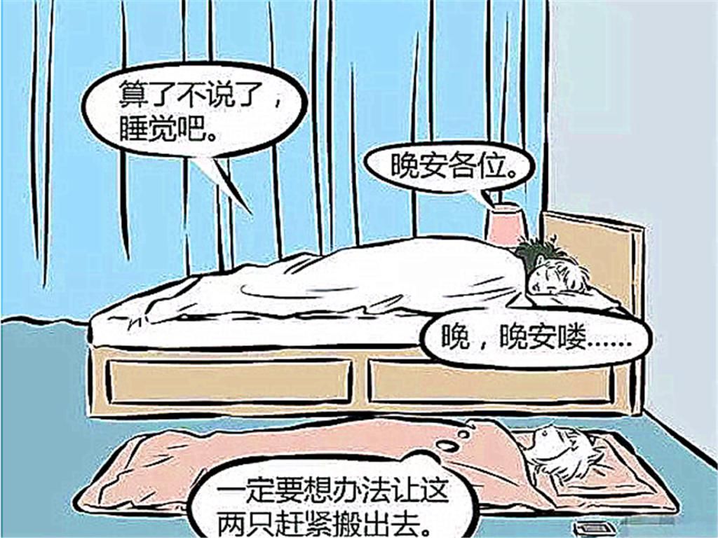  坐骑|非人哉：观世音“新坐骑”惨遭围观？小泽哥竟是“背后大佬”肃然起敬