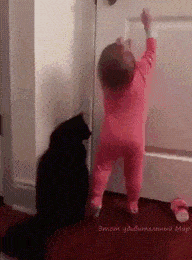 大爷|搞笑GIF趣图:哥们,你这求婚姿势真是帅爆了,大家都看好你哦