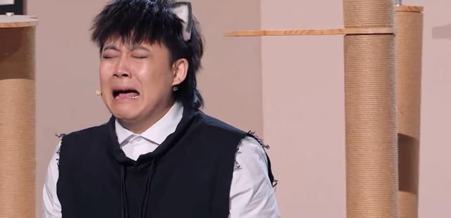  创意|笑起来真好看：刘维演绎猫狗人生，小创意成为最大败笔