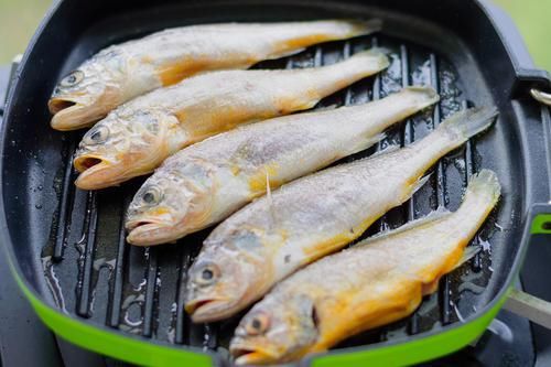  石持|日本人称作“石持Ishimochi”的黄鱼，如何帮助年轻人养生的呢？