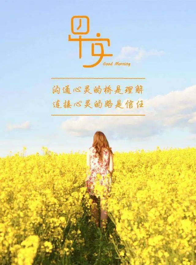 抱负|宁可打下坚实的基础，坚持抱负，不要事事依赖运气