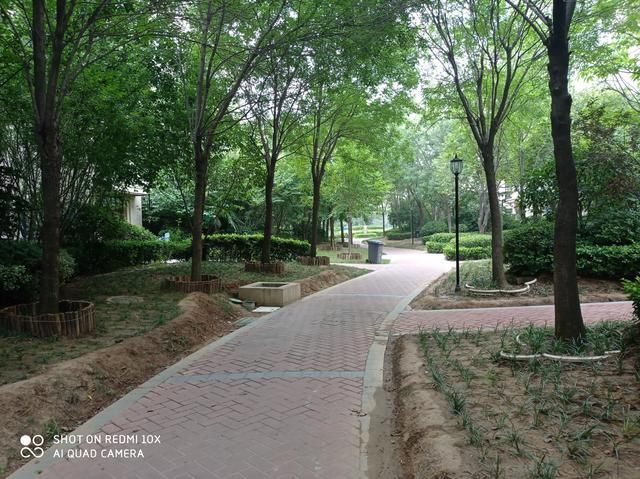  体验|被低估的大屏老年机：Redmi 10X开箱和轻体验