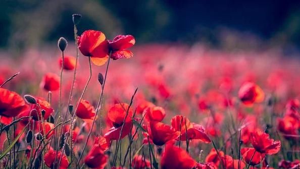  人生|人民日报：让你人生瞬间豁然开朗的68个神回答