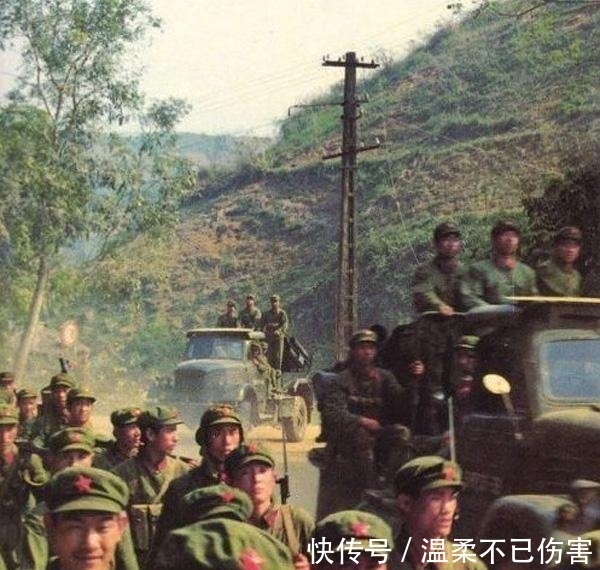  踩踏|撤离越南，工兵埋雷被水牛踩踏，枪扫水牛：要把地雷留给越军