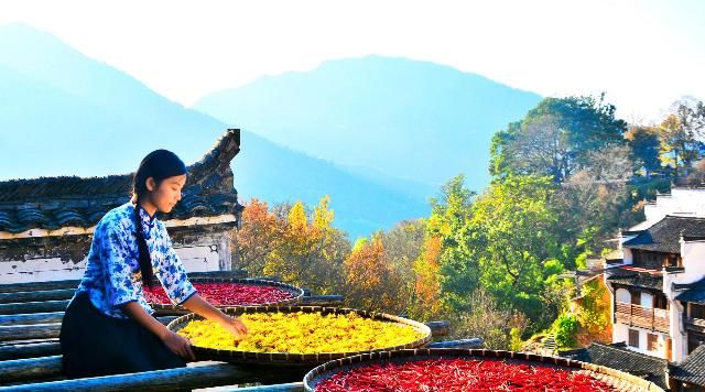  中国|中国秋天有婺源 婺源秋天有篁岭