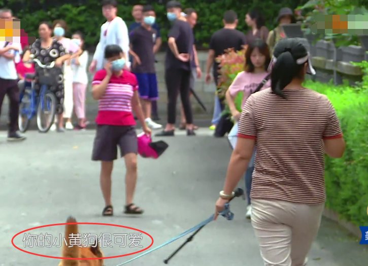  颖见到狗|赵丽颖被狗吓到直跑，狗主人跟她道歉，从她的回应方式看出人品