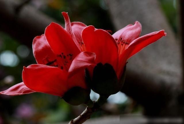  星座|天命好几大星座，遇事总有贵人帮忙，事事如意