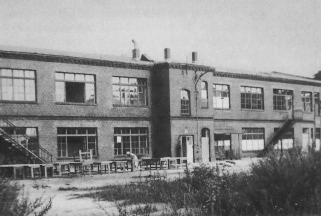  审美|100岁的包豪斯如何撕碎古典审美