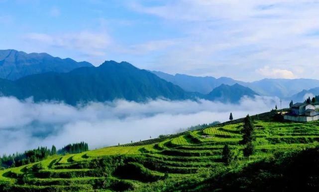  天府大地|竞赛 – “种子力”公共装置设计竞赛全球招募正式开启！