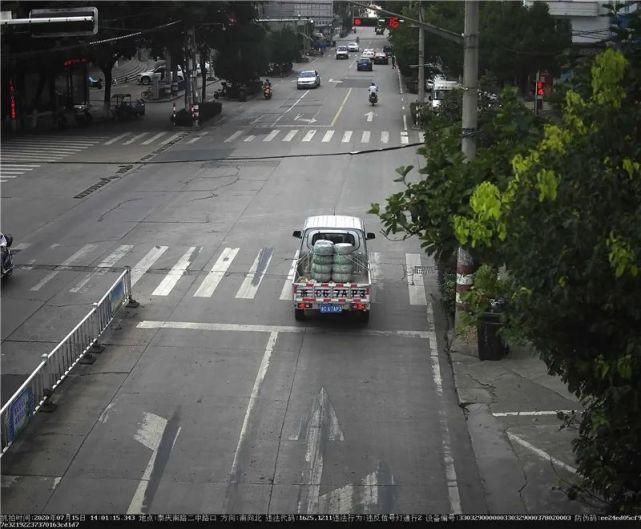 驾驶机动车违反道路|泰顺这些车主被曝光！