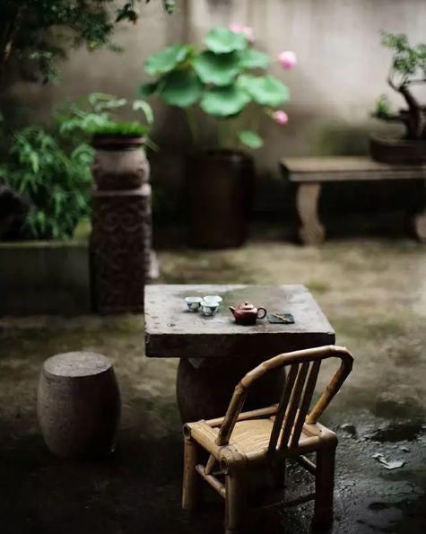  花园|有庭院的人，一定会懂生活