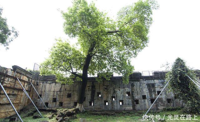 滤镜|活在“有色滤镜”下的东莞,为什么永远不能被忘记?