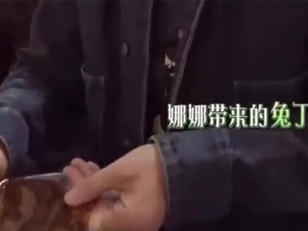  反驳|向往的生活：赵丽颖属兔不能吃兔肉，何炅一句话反驳，尽显高情商