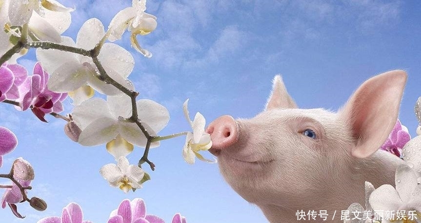 看不到天空|这些冷知识真有用! 人不睡觉能熬多长时间?